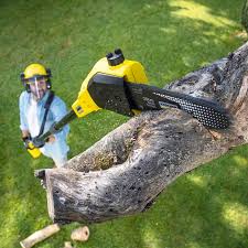 Best Tree Trimming and Pruning  in Azusa, CA